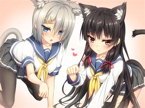 cat girl hentai|Nekomimi Hentai Collection in Hentai Haven 